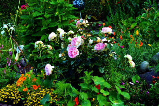 952334 (a): :2560x1696